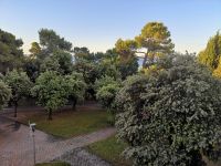 der letzte Blick aus dem Zimmer ...  unser Hotel in Petrcane