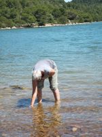 Wo sind die Muscheln?