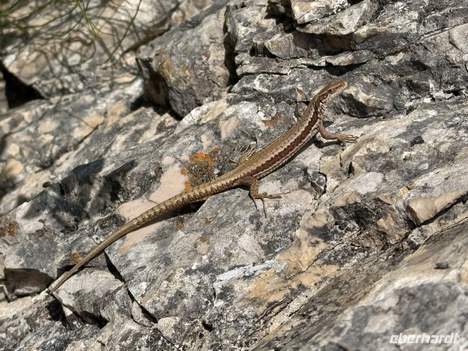 Tag 3 - Plitwitzer Seen