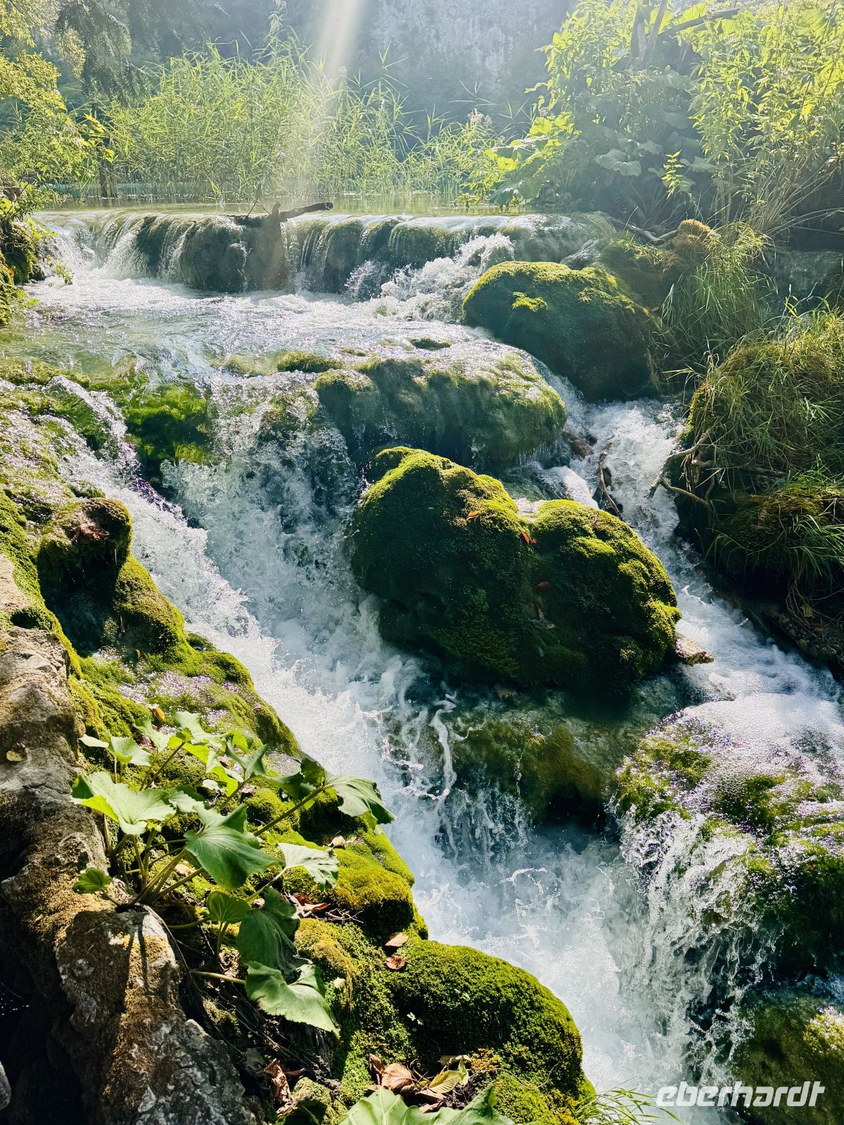 Tag 3 - Plitwitzer Seen