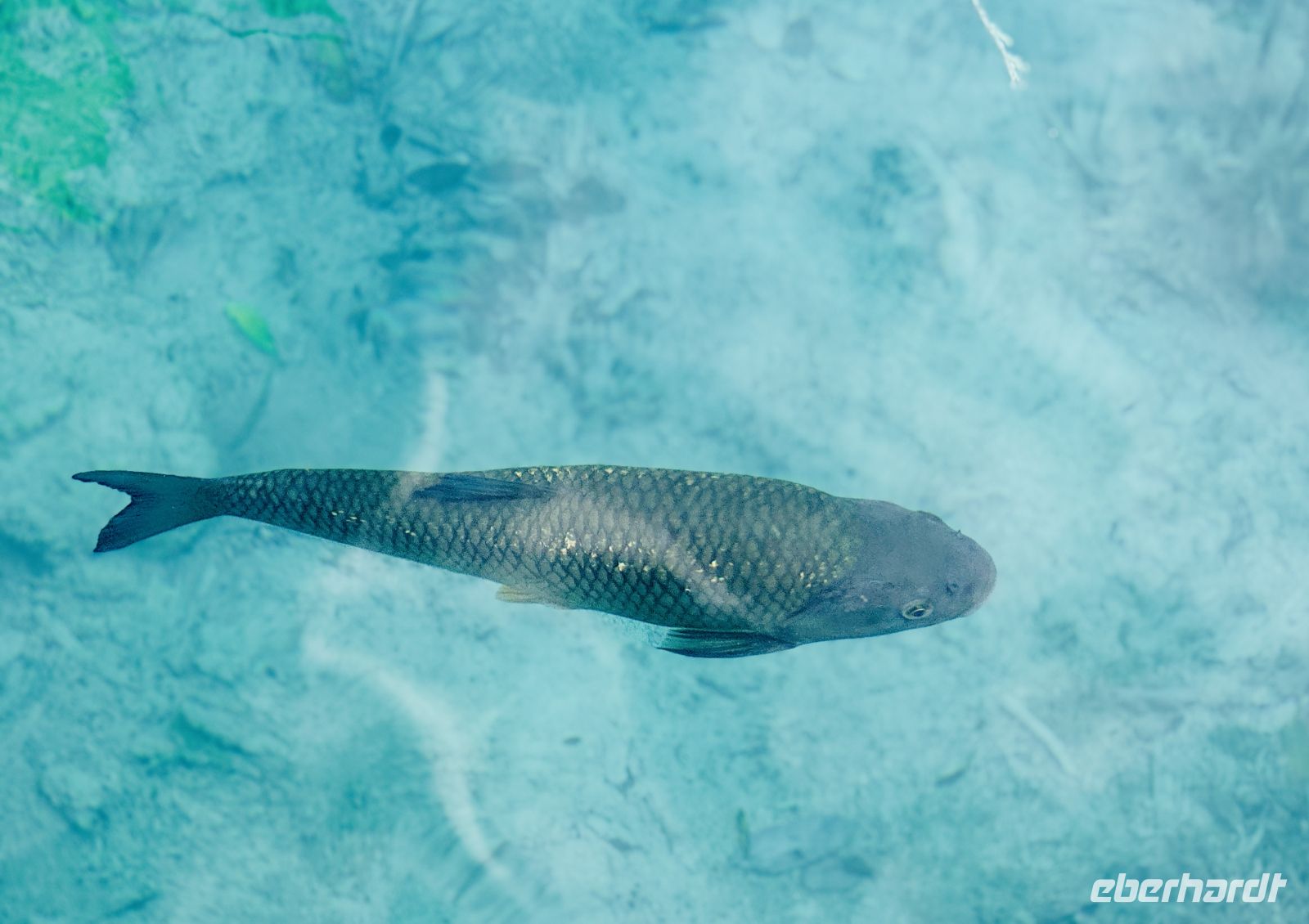 Tag 3 - Plitwitzer Seen