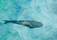 Tag 3 - Plitwitzer Seen