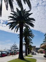 Tag 7 - Hafen, Trogir 