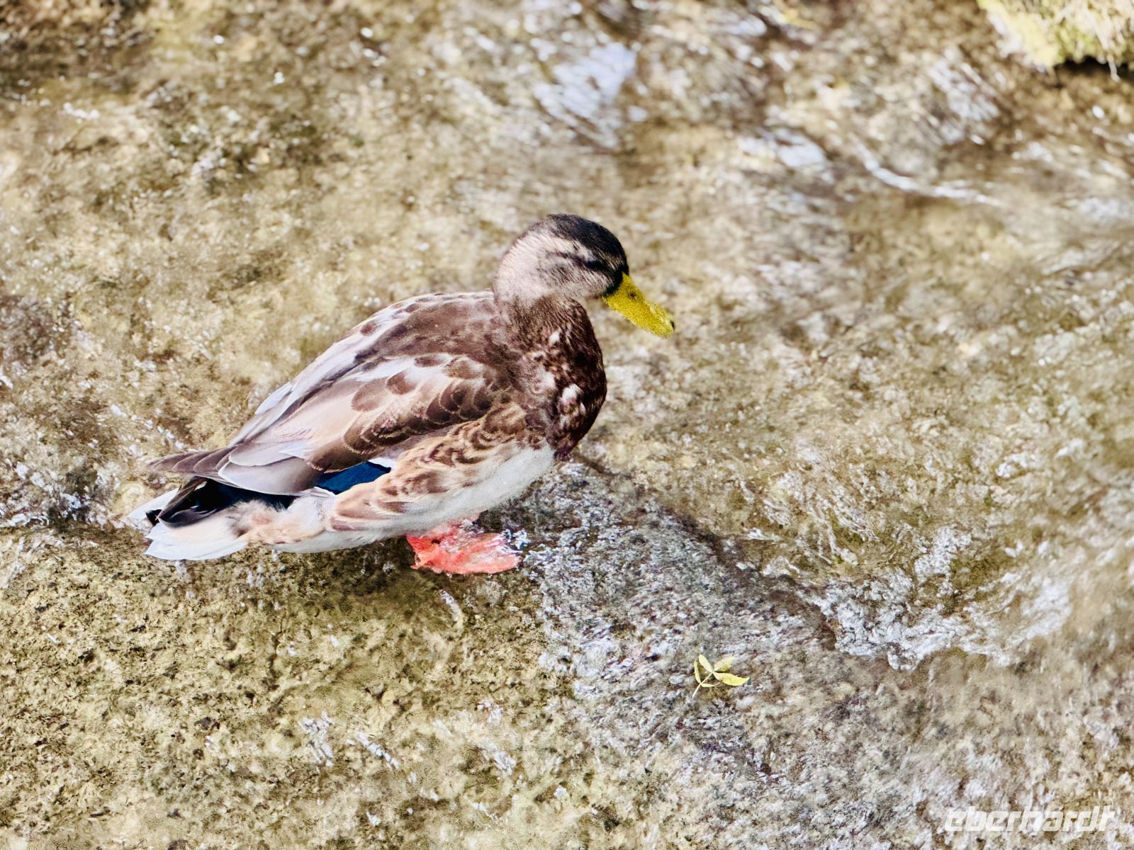 Tag 8 - Krka-Nationalpark 