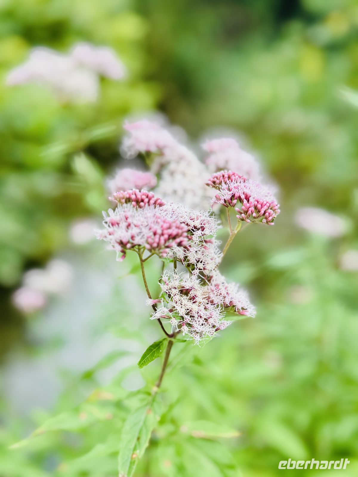 Tag 8 - Krka-Nationalpark