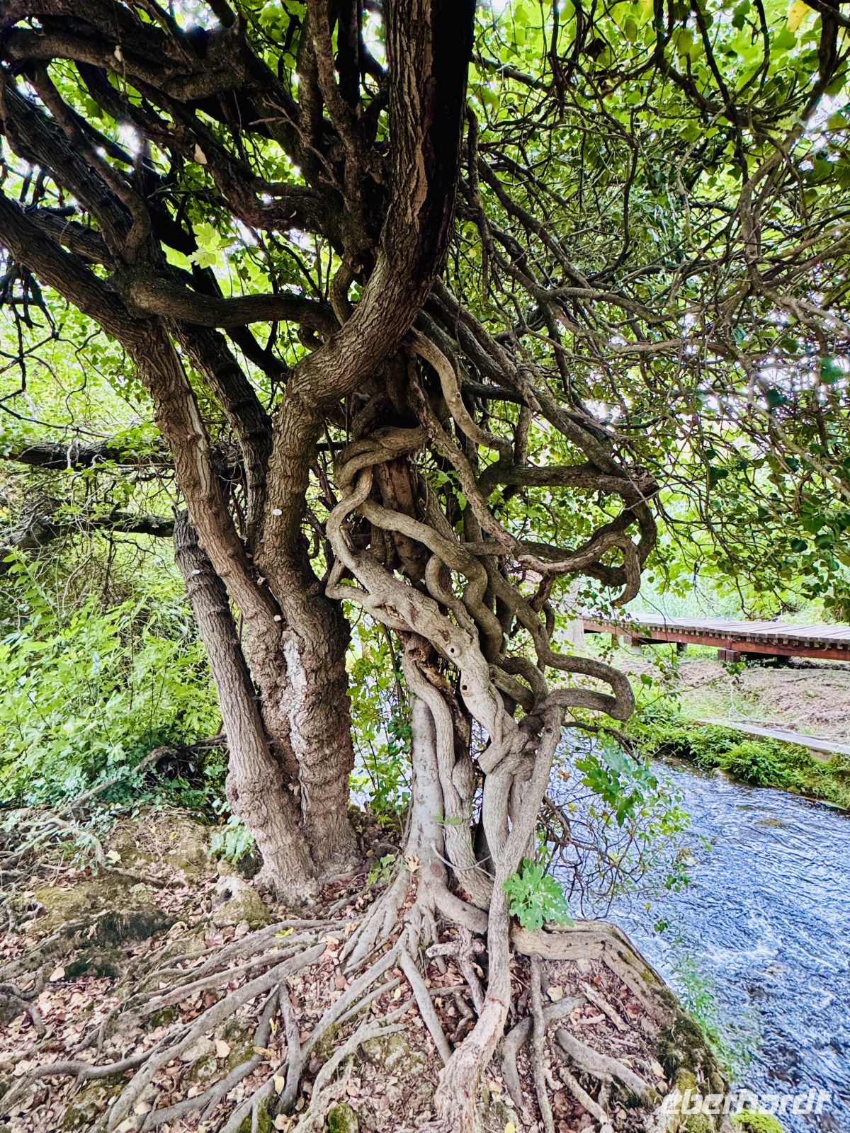 Tag 8 - Krka-Nationalpark