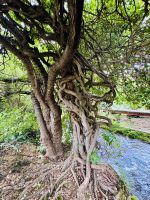 Tag 8 - Krka-Nationalpark