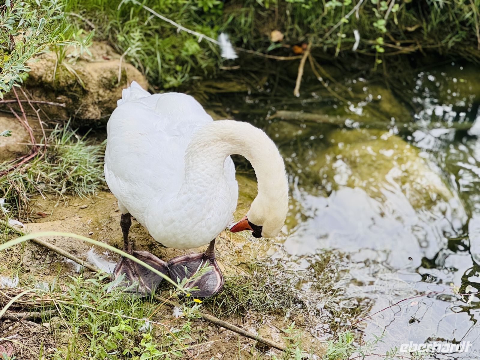 Tag 8 - Krka-Nationalpark 