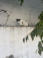 Beim Hotel Sveti Cruz 