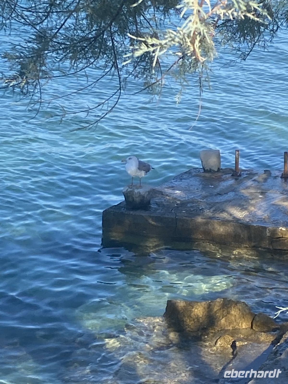 Umgebung Hotel Sveti Cruz