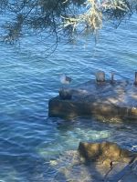 Umgebung Hotel Sveti Cruz