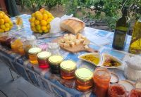 Verkostung/Neretvatal/Kroatien