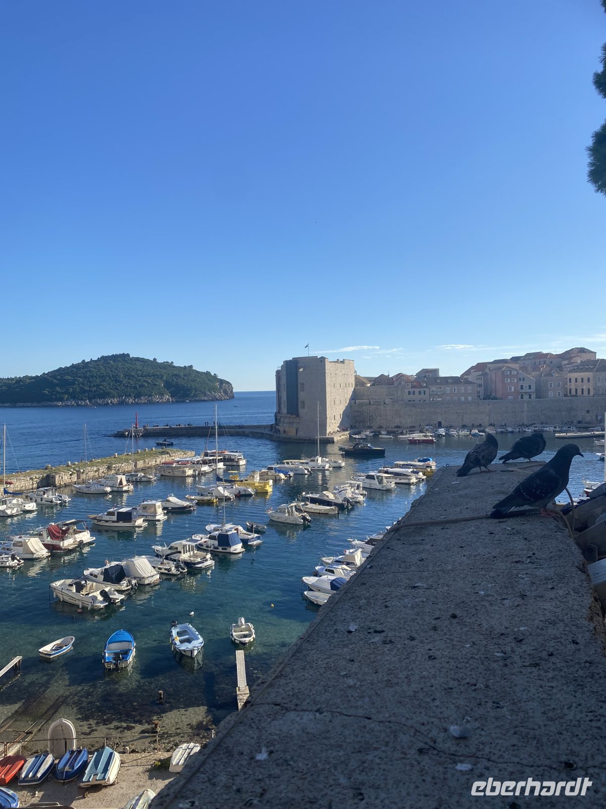 Hafen Dubrovnik