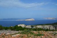 245 Insel Goli Otok