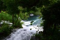 246 Krka NP