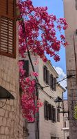 &copy; Michael Rass (Eberhardt TRAVEL)