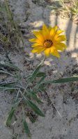 20260522_18 das ist Lebenswille.....jpg &ndash; &copy; Michael Rass (Eberhardt TRAVEL)