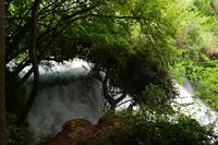 251 Krka NP