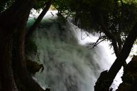 252 Krka NP