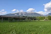 266 Bled, Karavanken