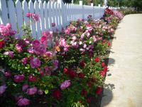 Hotelanlage Solaris Sibenik