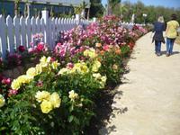 Hotelanlage Solaris Sibenik