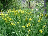 unterwegs im NTP Krka