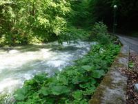 unterwegs in Zeleni Vir