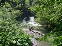 unterwegs in Zeleni Vir