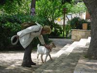 eine Ziege ist der Star auf Visovac