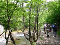 auf Wanderung im NTP Paklenica