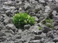 Faszination Natur in Paklenica