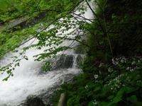 grandiose Natur im Zeleni Vir