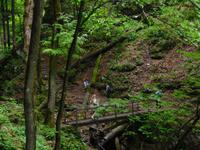 In der Teufelsschlucht