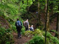 In der Teufelsschlucht