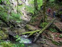 In der Teufelsschlucht