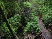 In der Teufelsschlucht