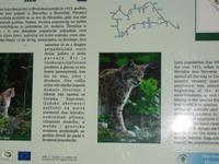 Im Risnjak-Nationalpark