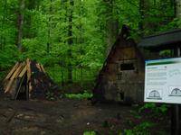 Im Risnjak-Nationalpark