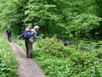 entlang der Kupa in Zeleni Vir