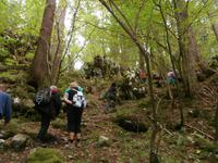 im Park Suma Golubinjak