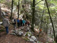 im Park Suma Golubinjak