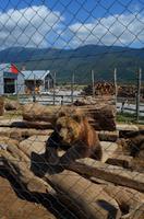 041 Restaurant Macola