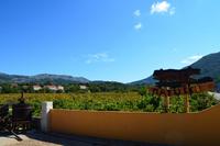 0204 Weingut Matusko