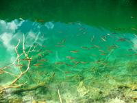 Nationalpark Plitwitzer Seen