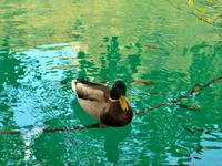 Nationalpark Plitwitzer Seen