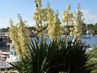 Krl &ndash; &copy; Kerstin Hugel (Eberhardt TRAVEL)