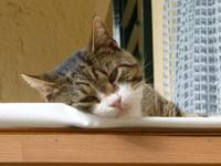 Mittagsruhe &ndash; &copy; Kerstin Hugel (Eberhardt TRAVEL)