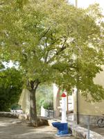 Vribnik &ndash; &copy; Kerstin Hugel (Eberhardt TRAVEL)