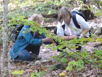 Plitvicer Seen &ndash; &copy; Kerstin Hugel (Eberhardt TRAVEL)